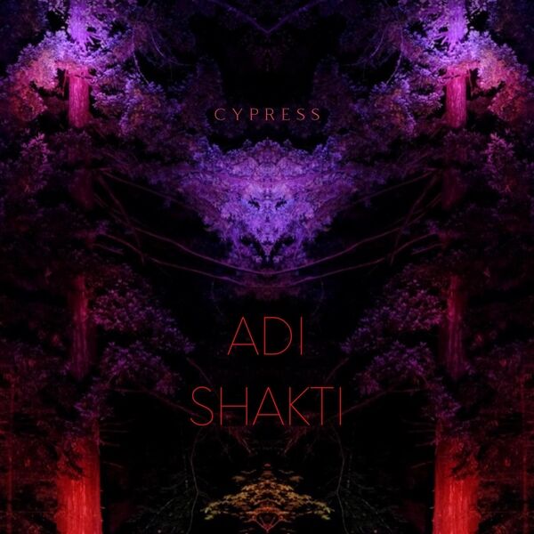 Cover art for Adi Shakti